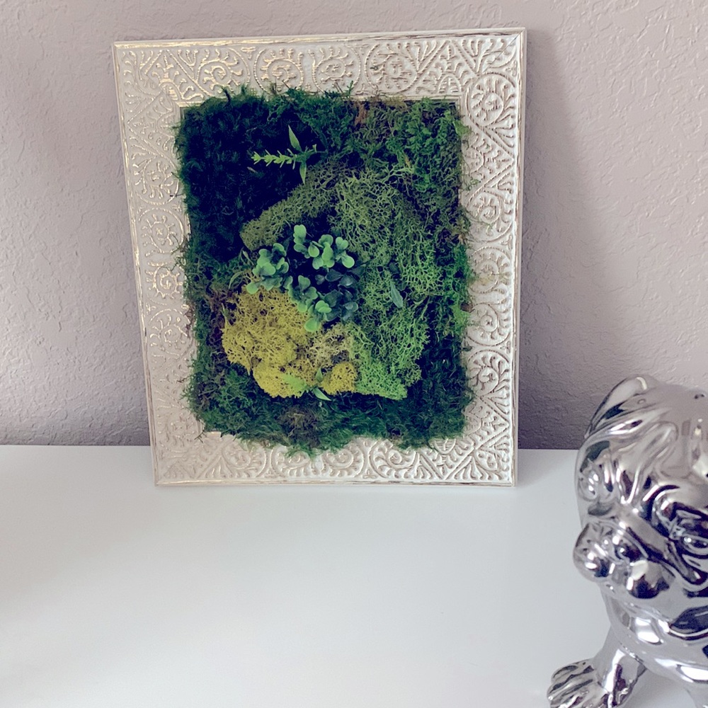 Moss Wall Green wall art Preserved moss